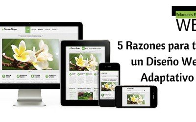 5 Razones para tener un Diseño Web Responsivo